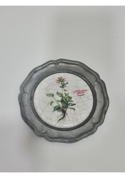 Vintage Zınn Çerçeveli Dekoratif Pulmonaria Officinalis Bitkisi Temalı Duvar Tabağı 10cm 007
