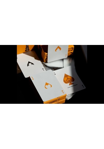 Ace Fulton's Casino V3 Oyun İskambil Kartı