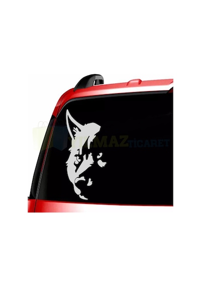 Türk Bozkurt Kurt Silüeti Cam Oto Sticker Etiket Yapıştırma