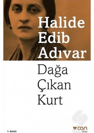 Dağa Çıkan Kurt/halide Edib Adıvar