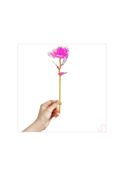 Sonsuzluk Gülü, 25 Cm X 8cm - Pembe