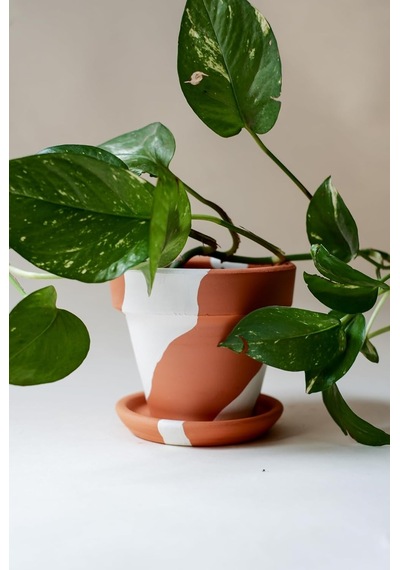 Terracotta Konik Saksı+tabak Bohem Beyaz Büyük