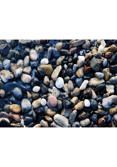 Akvaryum Dere Çakılı 1kg (5-8 Mm)