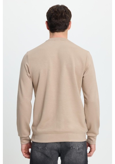 Tudors Erkek Relax Fit Rahat Kesim Uzun Kollu Ekstra Yumuşak Bisiklet Yaka Vizon Sweatshirt-41871 Vizon