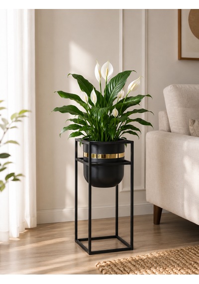Bitkidunyam Mat Metal Kare Ayaklı Saksı, Altın Detaylı Kenar, Silindirik, Modern Tasarım, 41x21 Cm No:6 Siyah