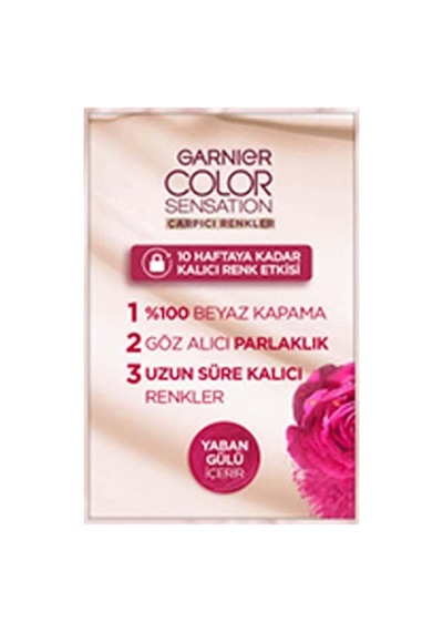 3 Adet Garnier Çarpıcı Renkler N 5.0 Parlak Açık Kahve