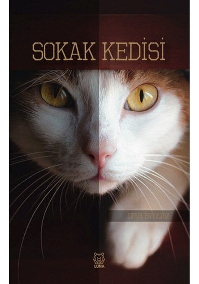 Sokak Kedisi - Ufuk Eryıldız - Luna Yayınları