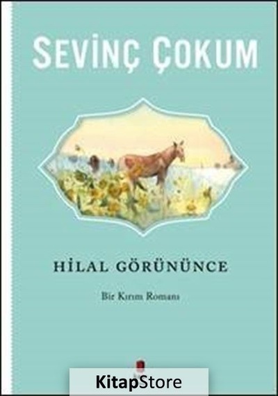 Kitapstore Hilal Görününce / Sevinç Çokum