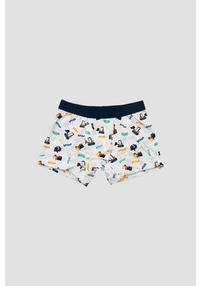 Defne Baby Erkek Çocuk Deseli Premium Pamuklu 2'li Boxer Seti Çok Renkli