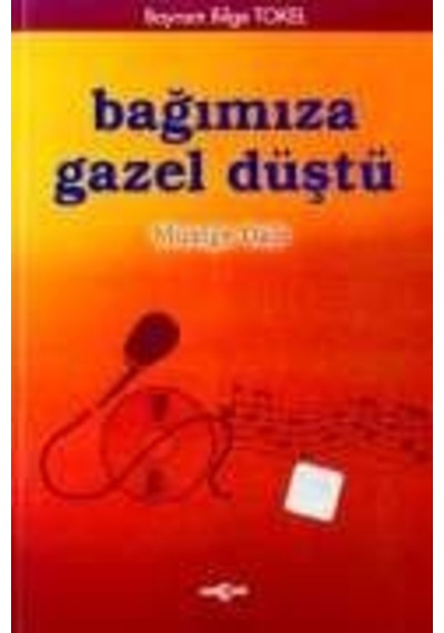 Bağımıza Gazel Düştü Müziğe Dair - Ahmet Tülek - Akçağ Yayınları