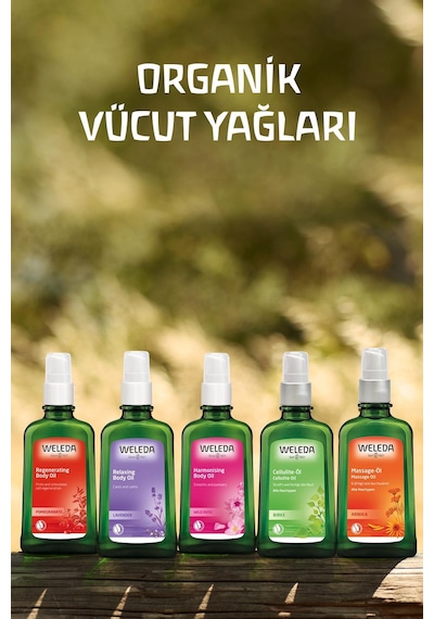 Weleda Organik Yabani Gül Özlü Yenileyici Vücut Bakım Yağı 100 ML