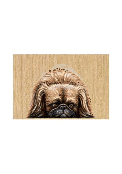 Köpek Figürlü Kapı Önü Halı Paspas 40 X 60 Cm Kahverengi - 931759923 Kahverengi