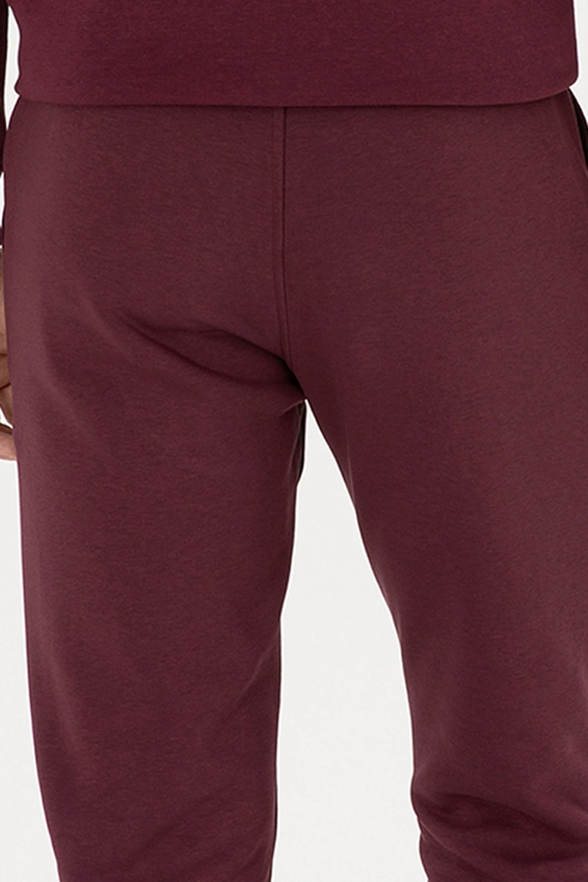 U.s. Polo Assn. Erkek Plum Eşofman Altı 50315537-vr177 New Plum