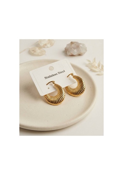 316l Çelik Gold Renk Halka Model Küpe Tj-bkp12021 Evimdeyokyok