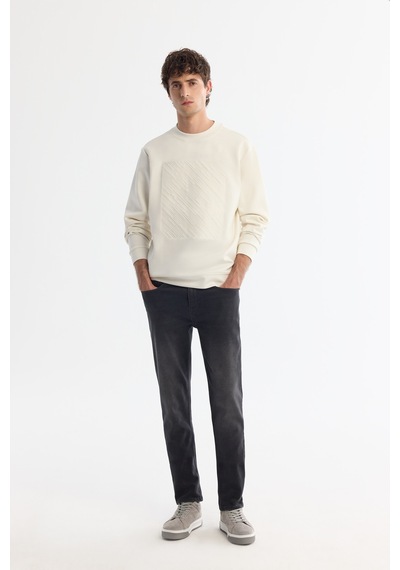 Avva Erkek Ekru Bisiklet Yaka Pamuklu Baskılı Elastan Regular Fit Sweatshirt A42y1243