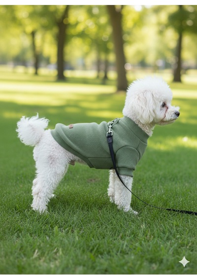 Kedi - Köpek Kaşkorse Esnek Mevsimlik Ceket - Mont - Yağmurluk - Yelek - Kıyafet