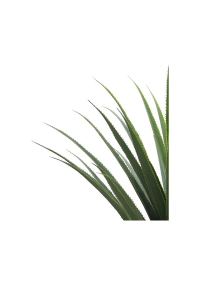Yapay Agave Ağacı 125 Cm-9819