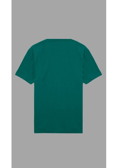 Shooter Sportwear Shooter Erkek Basic Tişört Pamuklu Regular Fit Bisiklet Yaka Günlük Düz T-shirt Yeşil