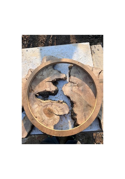 Ham Zeytin Ağacı Parçaları Epoksi Projeleri İçin Kurutulmuş, Kabukları Temizlenmiş, Zımparalanmış, 2,5 Cm Döküme Hazır 30 Cm Ham Zeytin Ağacı Parçaları Epoksi Projeleri İçin Kurutulmuş, Kabukları Temizlenmiş, Zımparalanmış, 2,5 Cm Döküme Hazır 30 Cm
