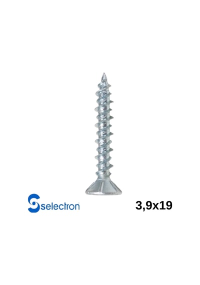 Selectron 3,9x19 Yıldız Havşa Başlı Seyrek Vida 3500 Ad. 3,9 X 19