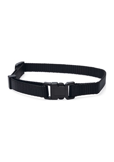 Hnrlıshp Beeztees Yavru Köpek Boyun Tasması, Çeşitli Renklerde, 22-35cm, 10mm Çok Renkli