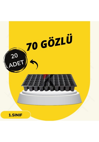 Viyol 20 Adet 70 Göz Fide Viyolü Fidan Altlığı Tohum