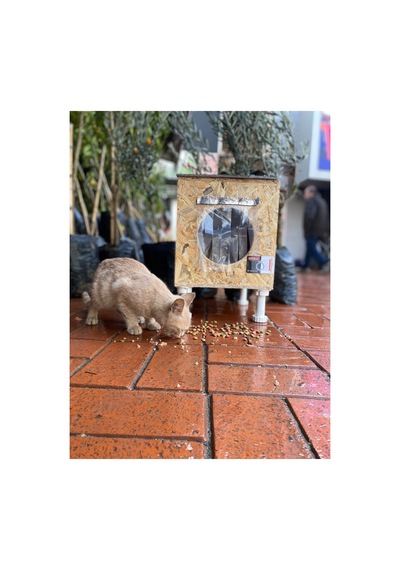 Dış & Iç Mekan Ahşap Kedi Yuvası Ölçüleri: 35x40x35