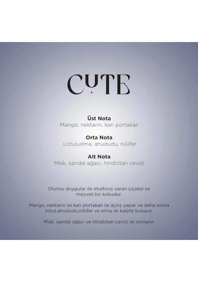 Carpex Maxx Cute Aroma Oil 120 Ml Karışık