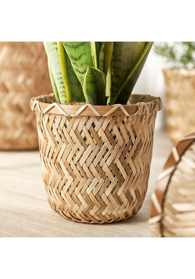 Bambu Saksı, Bambu, 12 Cm 3 Adet