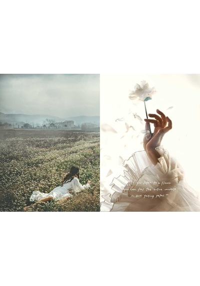 An American İn Provence: Art, Life And Photography