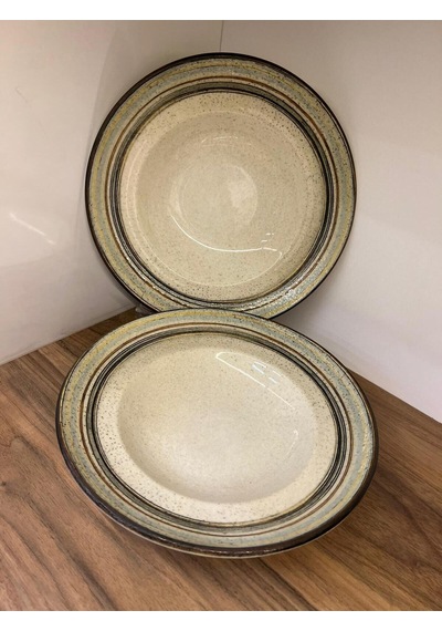 2'li Cortado Spiral Gourmet Deep Plate 27 Cm 450 Cc Salata/bowl/sulu Yemek/makarna Çok renkli