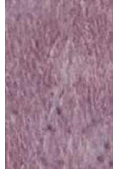 Cadence Eskitme Boyası 120Ml - 303 Bordo