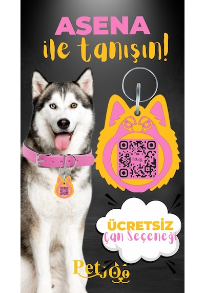 Petjoo 25.Asena Sarı-Pembe Qr'lı Köpek Künyesi