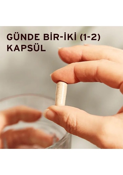 Solgar Rhodiola Root Extract 60 Bitkisel Kapsül