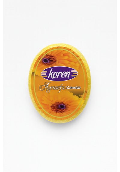 Aynısefa Süngerli Sabun 120g Aynısefa