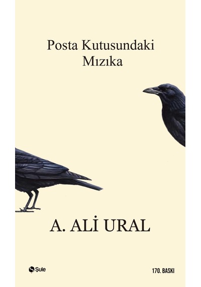 Posta Kutusundaki   Mızıka