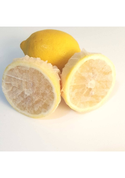 Limon Bonesi / 100 Adet / Çayı Bonesi - Pyrz-760832
