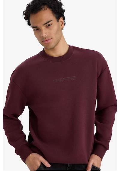 Defacto Boxy Fit Bisiklet Yaka İçi Yumuşak Tüylü Baskılı Sweatshirt X8282az25aubr230 Bordo-br230 Defacto Boxy Fit Bisiklet Yaka İçi Yumuşak Tüylü Baskılı Sweatshirt X8282az25aubr230 Bordo-br230