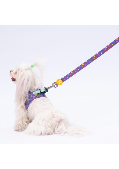Pawstar Ice Cream Leash Kedi Köpek Sevk & Gezdirme Kayışı Köpek Uzatma Tasması Mor
