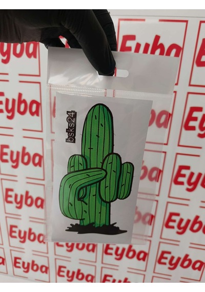 Fuctus Komik Kaktüs Araba Karavan Renkli Baskı Sticker 8x15 Cm Bsks24