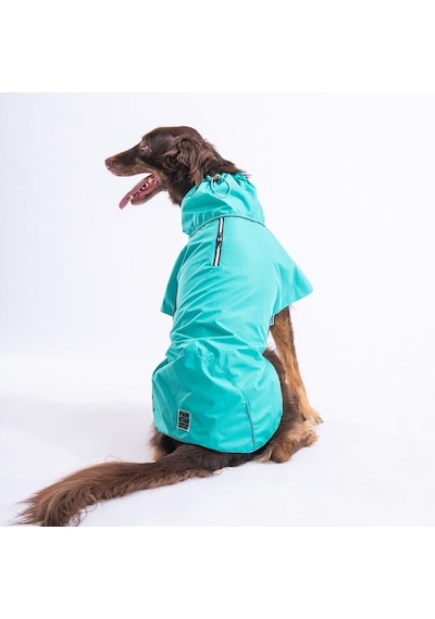 Pawstar Mint Colombia Yağmurluk