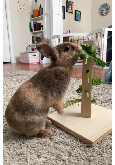 Bunny Tree Ahşap Tavşan Foraging Oyuncağı, Doğal Çam, Zihinsel Uyarım