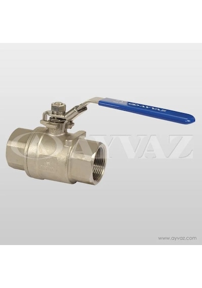 Küresel Vana Pasl 2 Prç.pn63 11/4'' V-2t 304