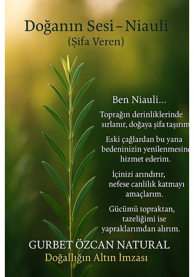 Niaouli Yağı Nioli %100 Saf Doğal Seyreltilmemiş Melaleuca Quinquenervia Oil 10ml