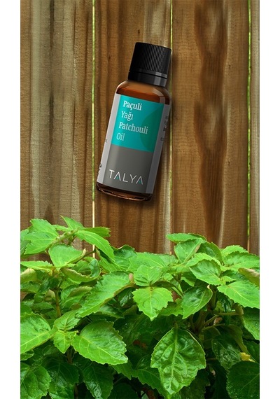 Talya Soğuk Sıkım %100 Saf ve Doğal Paçuli Yağı 20 ML