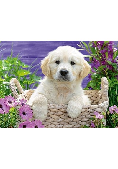 500 Parça Yapboz Retriever