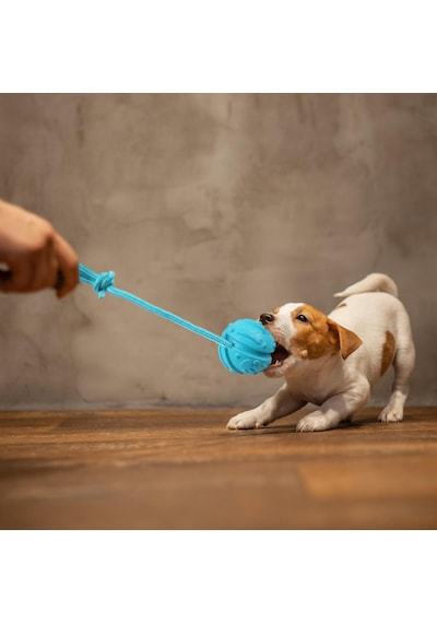 Köpek Eğitim Topu İp, 2 Adet Köpek Halat Oyuncaklar Topu Egzersiz Ve Ödül Oyuncak Köpekler İçin Çiğnemek Eğitim Çekme Atmak Oyuncak Römorkör Oyuncak Köpekler Getirme Oyuncaklar