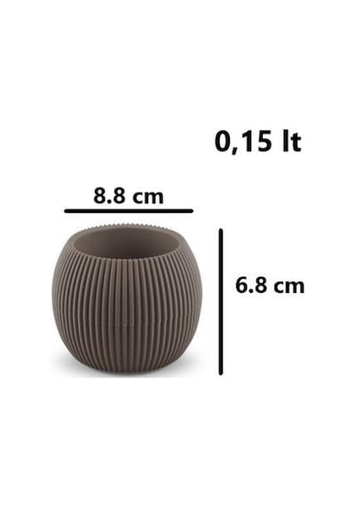 Omnipazar Krs Mercan Dekoratif Sukulent Kaktüs Plastik Saksı Takımı 3'lü Set Kahverengi