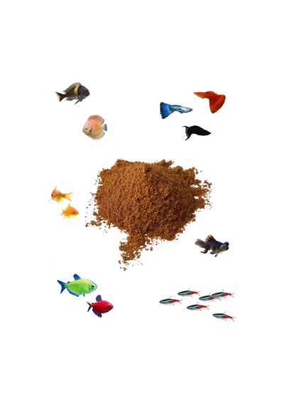 Yavru Balık Büyütme Yemi, Protein, Spirulina Artemialı 250 Gram