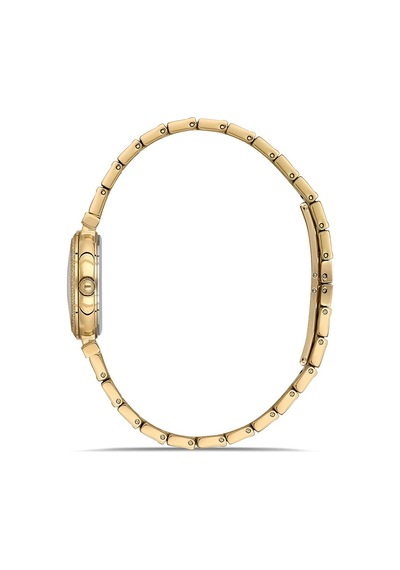 Momentus Women's Shiny Ss396g-09sg Gri
